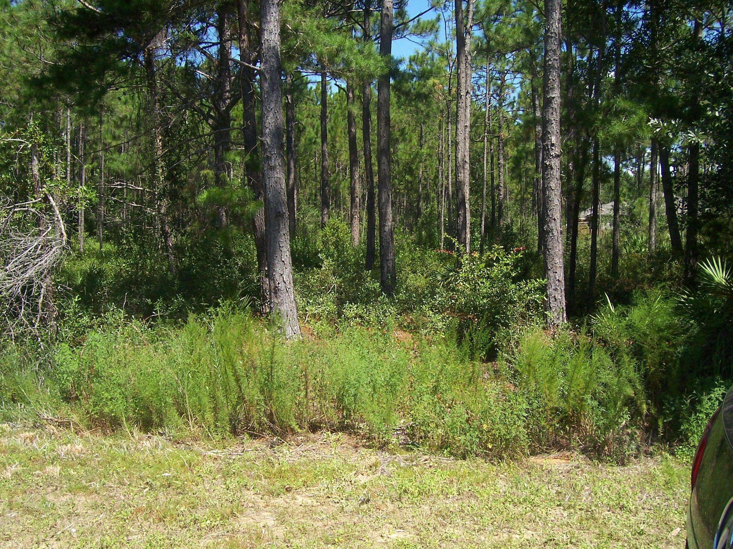 Navarre, FL 32566,Lot 8 Blk Bryant Street