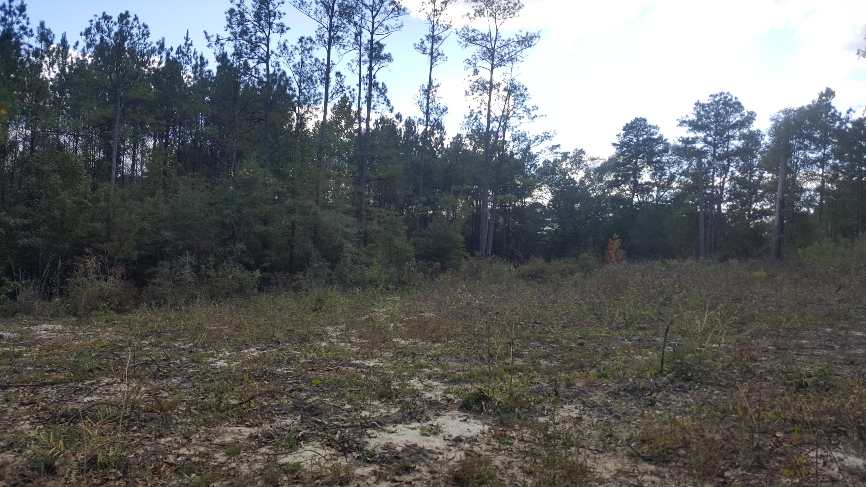 Chipley, FL 32428,1028 ROLAND Road