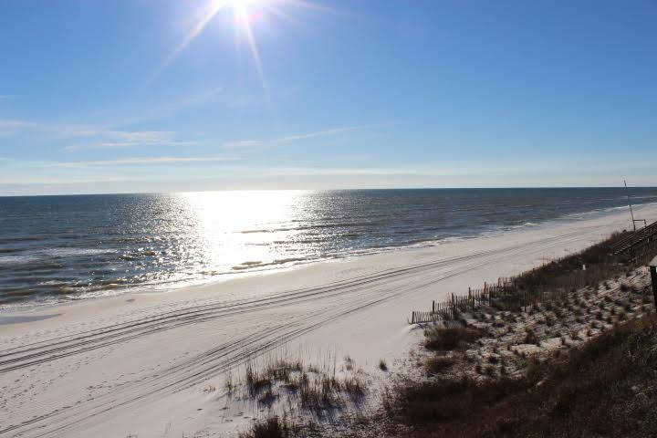 Inlet Beach, FL 32461,xx Walton Bonita Drive