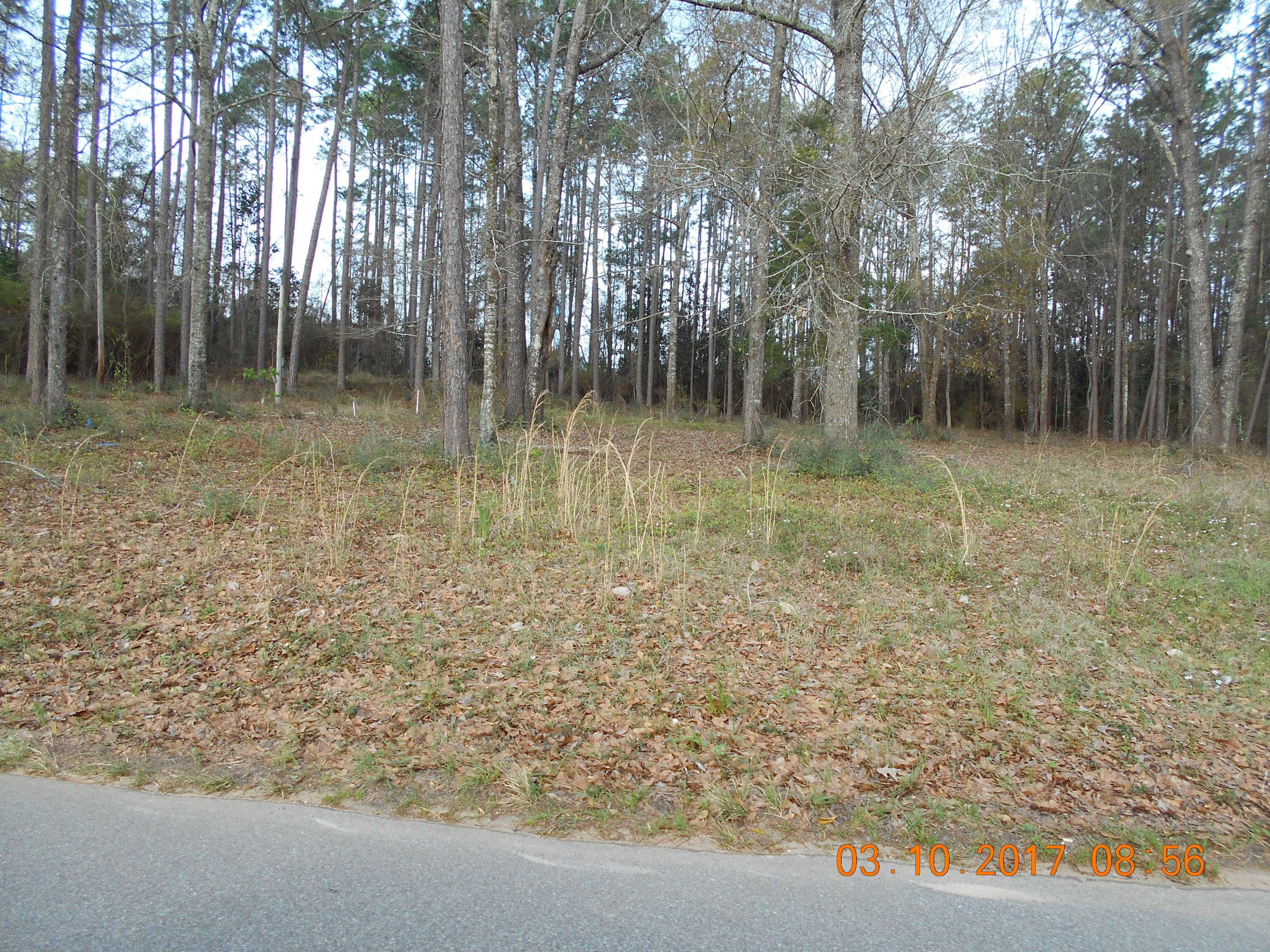 Baker, FL 32531,5822 Dairy Road