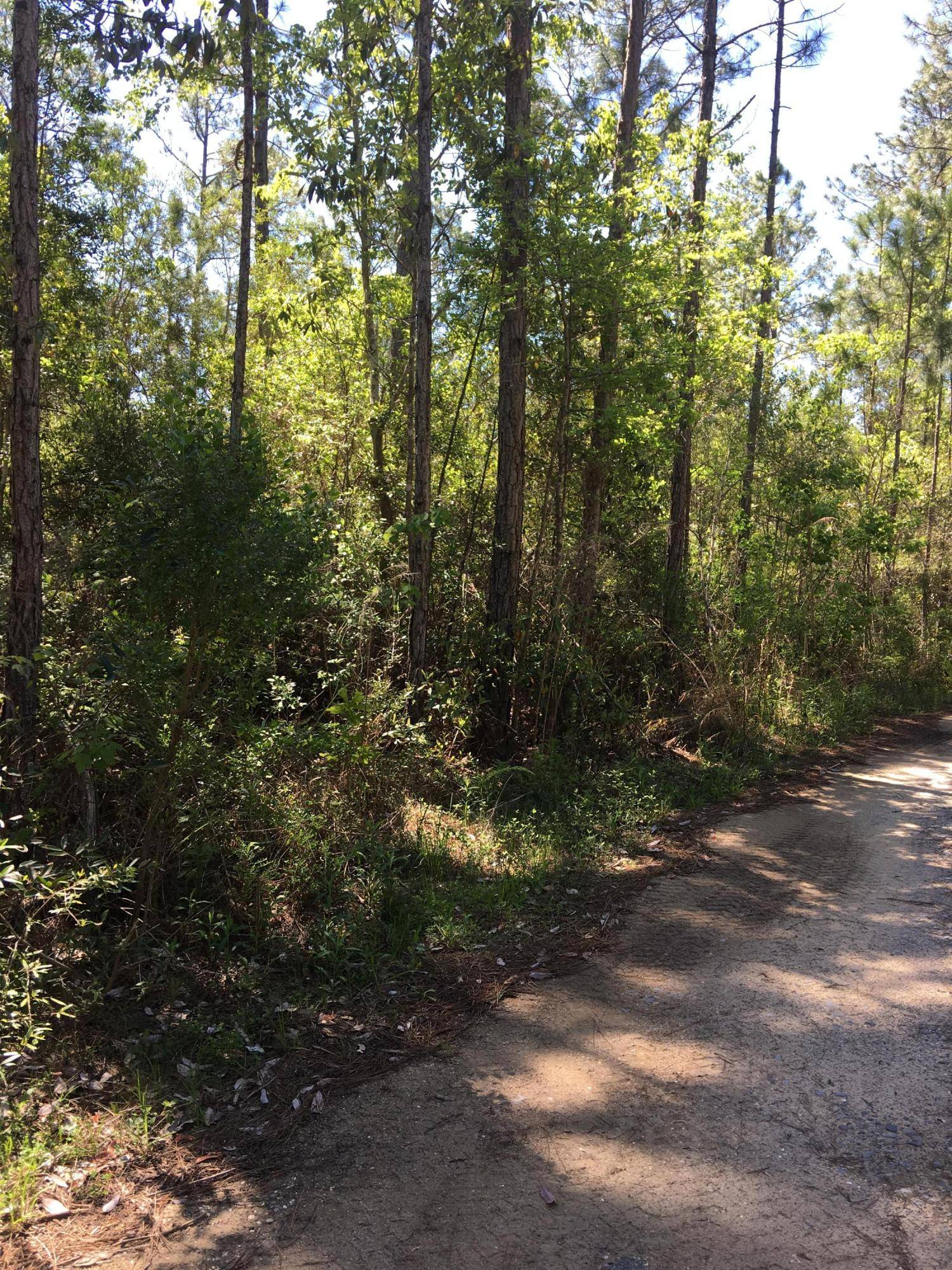 Bagdad, FL 32530,Lot 21 Simila Drive