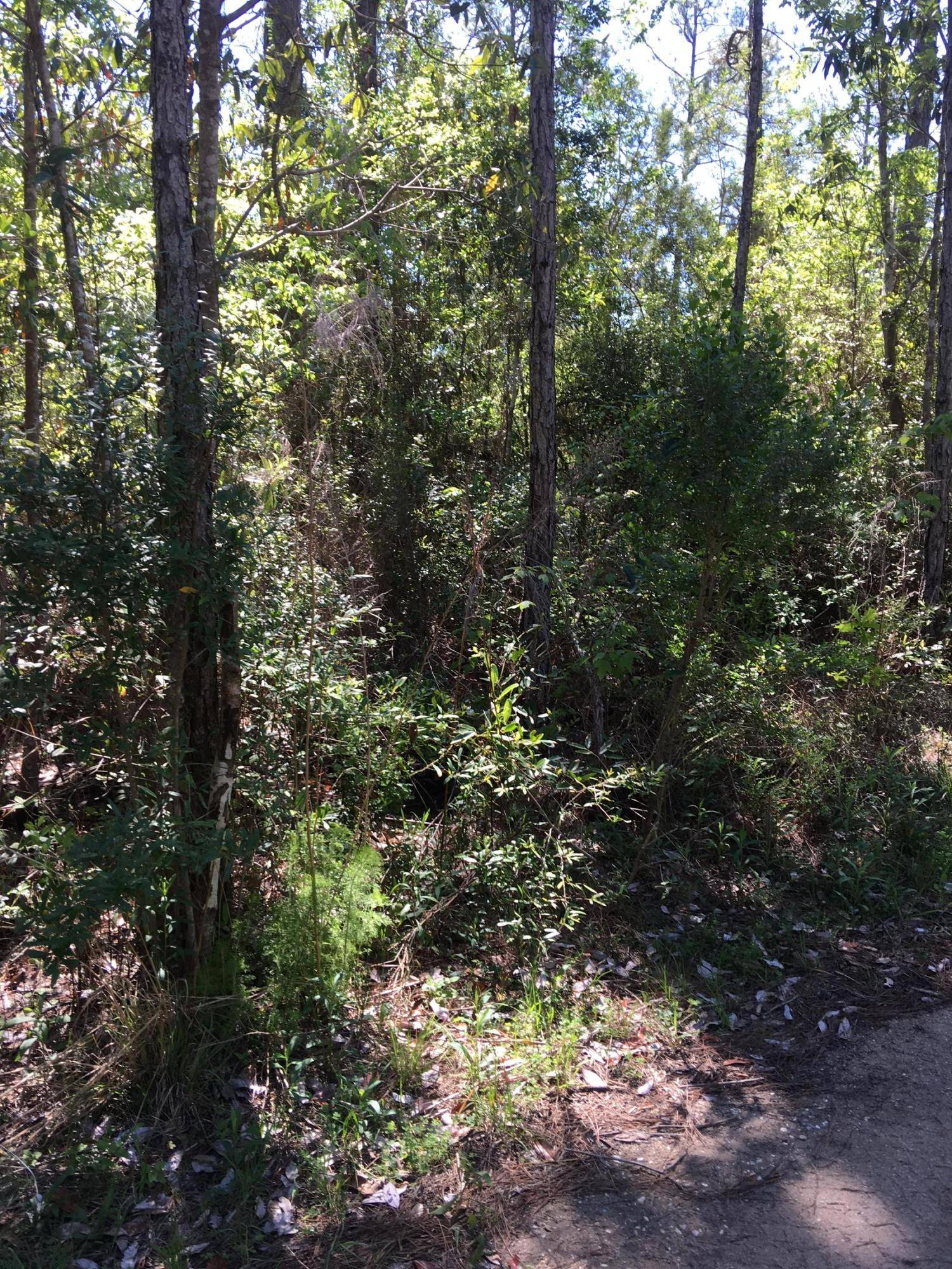 Bagdad, FL 32530,Lot 21 Simila Drive