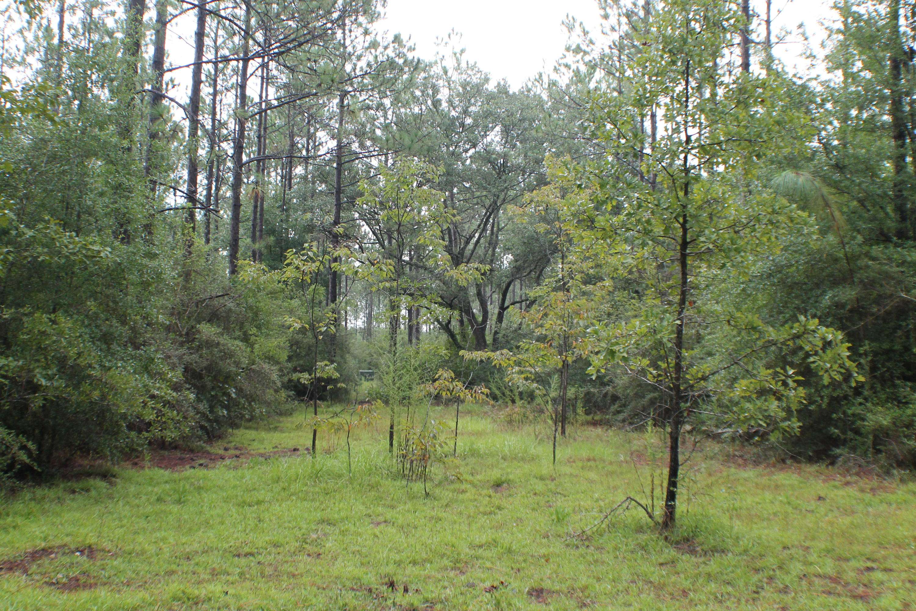 Baker, FL 32531,23.64 AC Old River Road