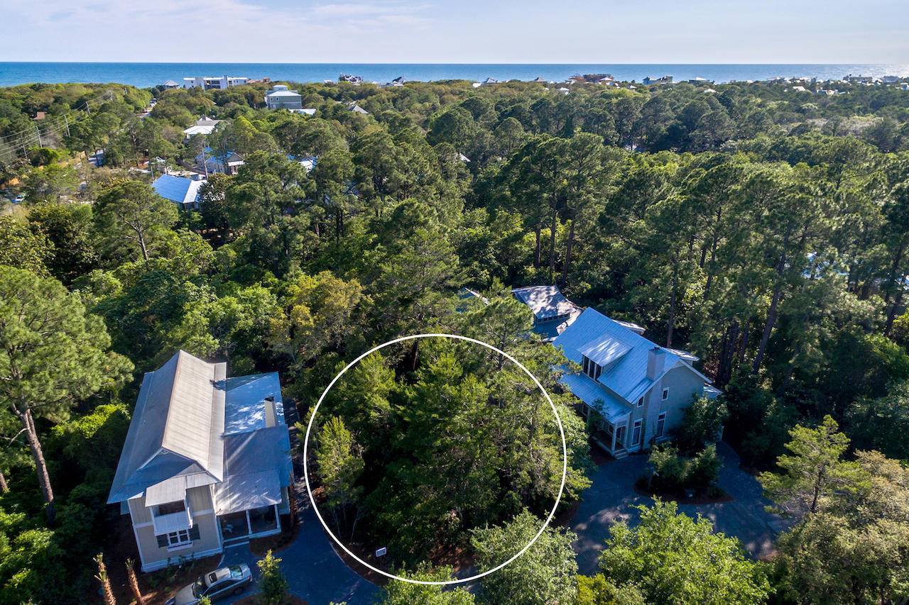 Santa Rosa Beach, FL 32459,Lot 24 Lot 24 Hammocks at Seagrove