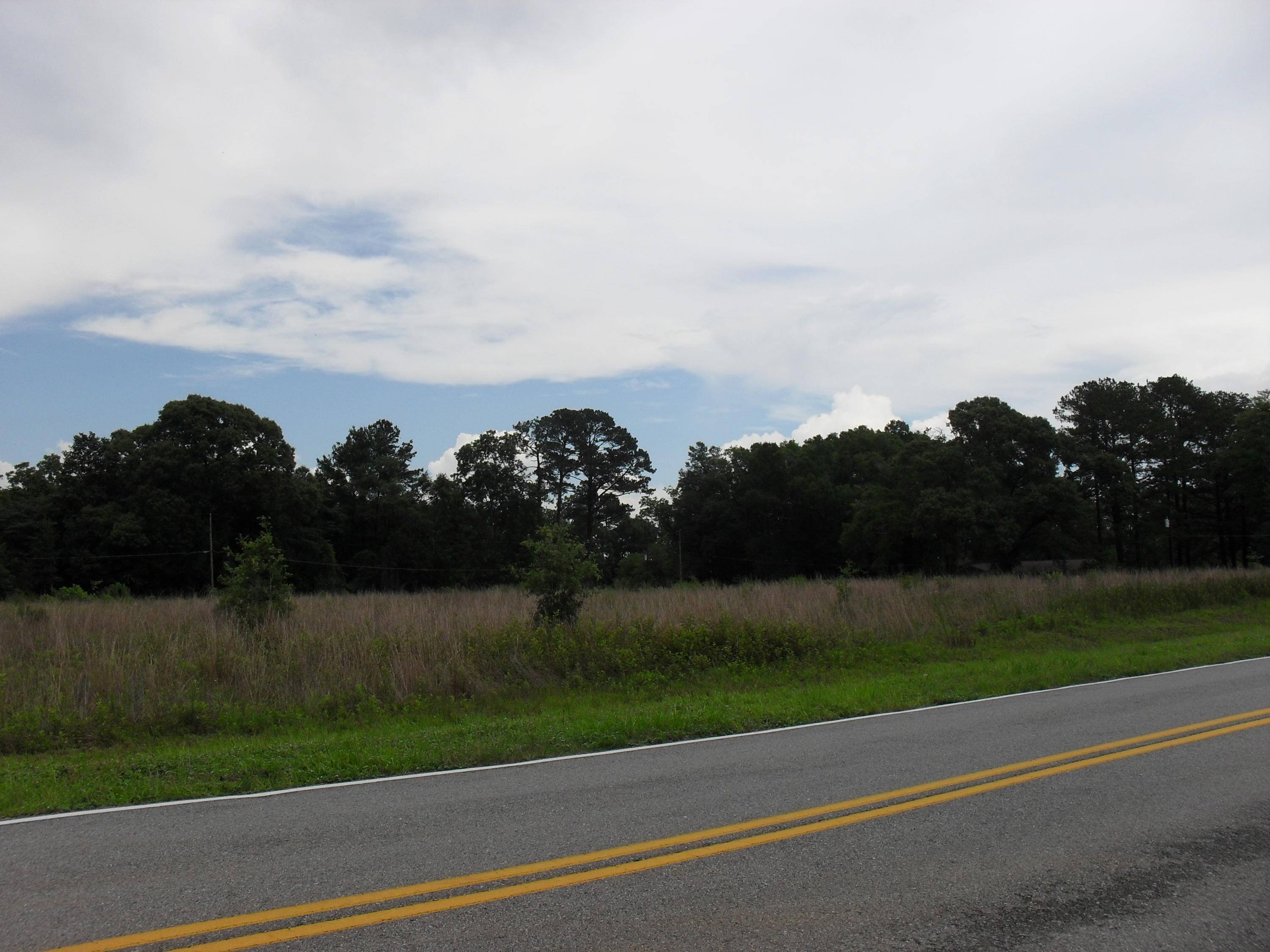 Laurel Hill, FL 32567,0000 Clear Springs Road