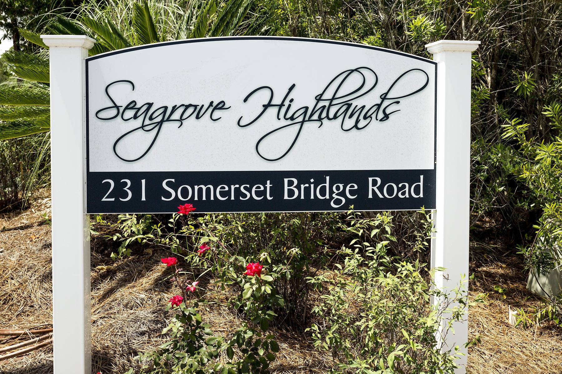 Santa Rosa Beach, FL 32459,231 Somerset Bridge Road  #UNIT 1302