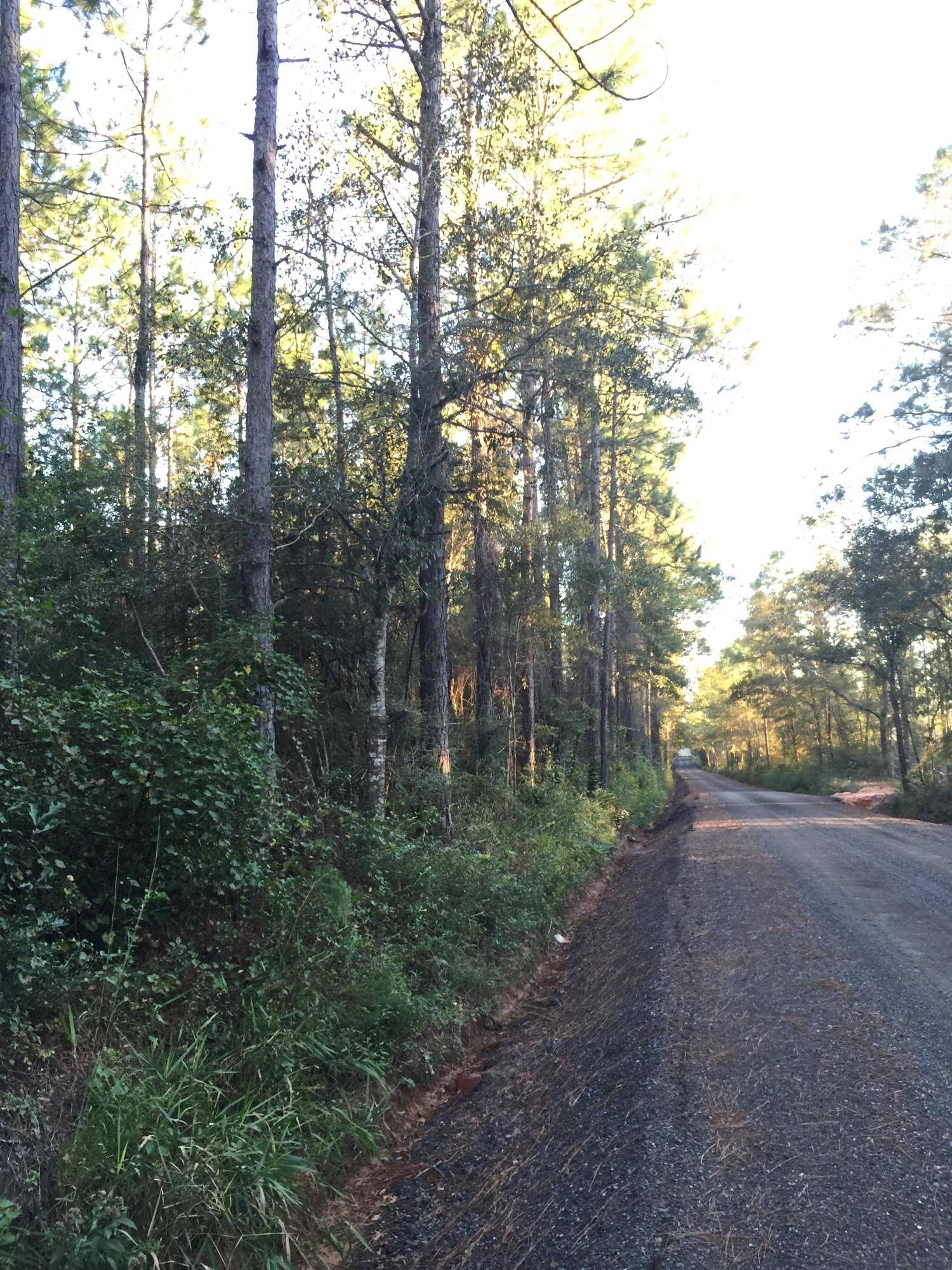 Paxton, FL 32538,27AC XXX Bear Bay Flats Road