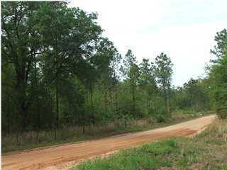 Paxton, FL 32538,27AC XXX Bear Bay Flats Road