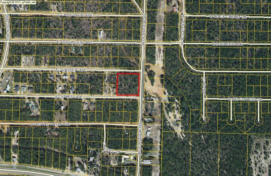 Defuniak Springs, FL 32433,1.4ac. Blue Ridge Boulevard