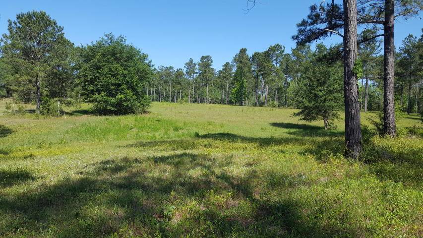 Paxton, FL 32538,0000 County Hwy. 147