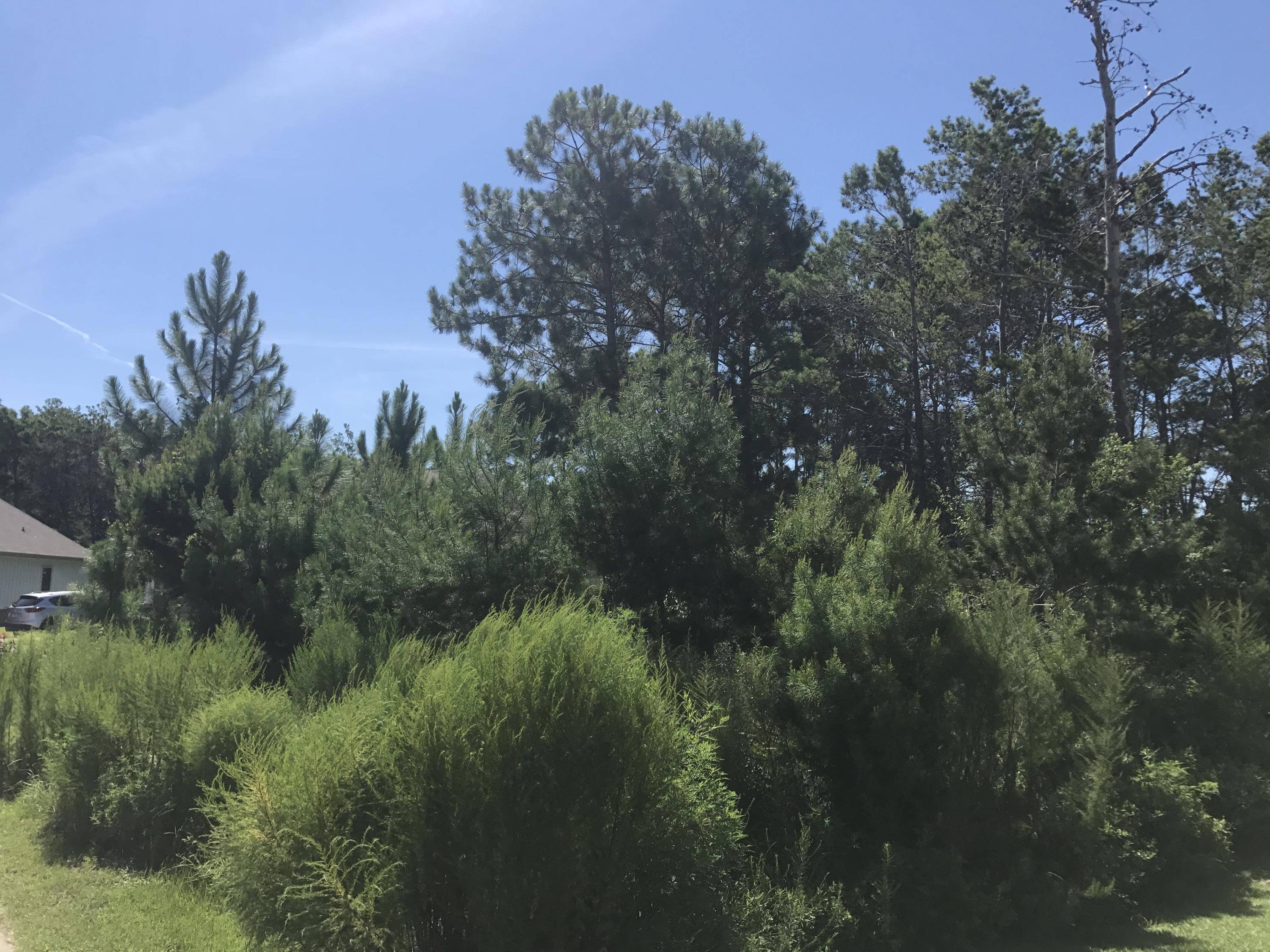 Santa Rosa Beach, FL 32459,0 Tropical Breeze Drive