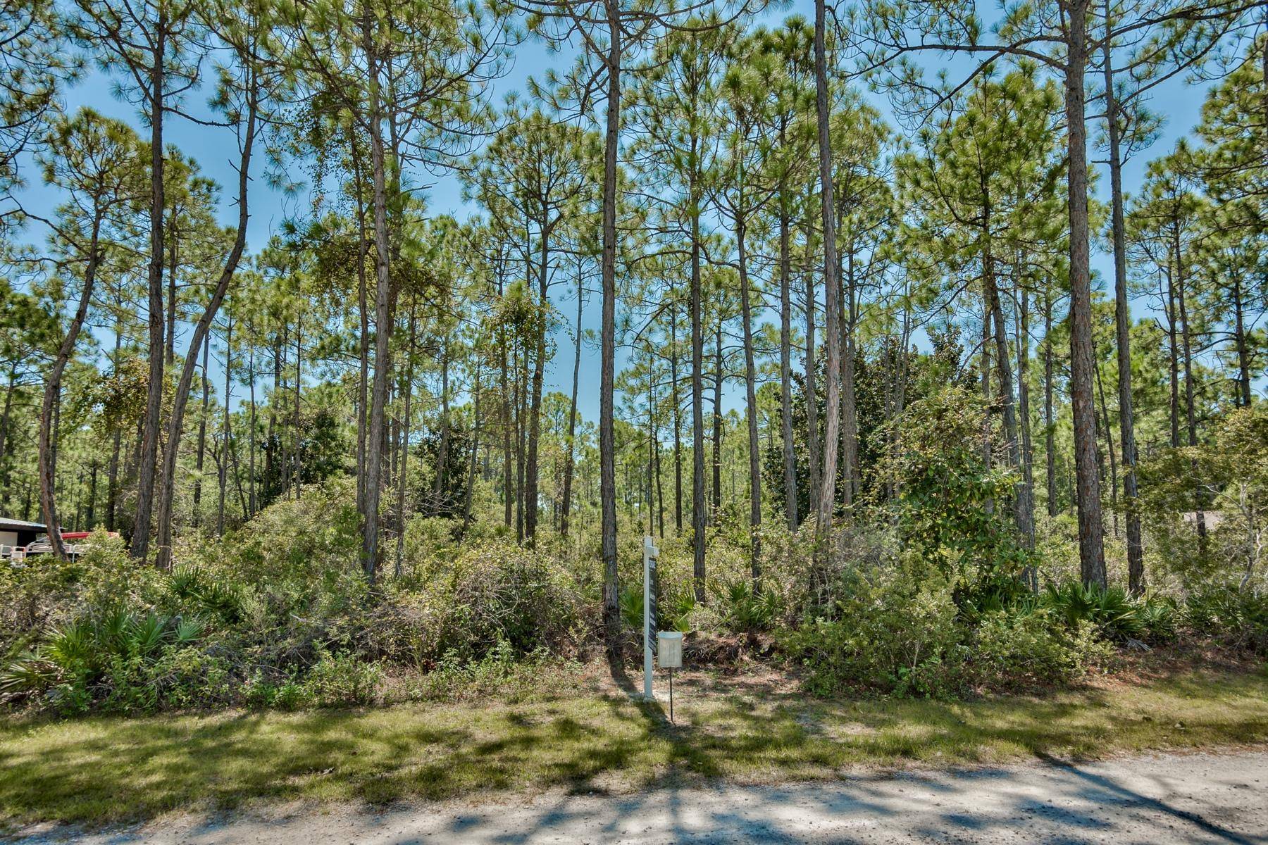 Santa Rosa Beach, FL 32459,Lot 14 Delbert Lane