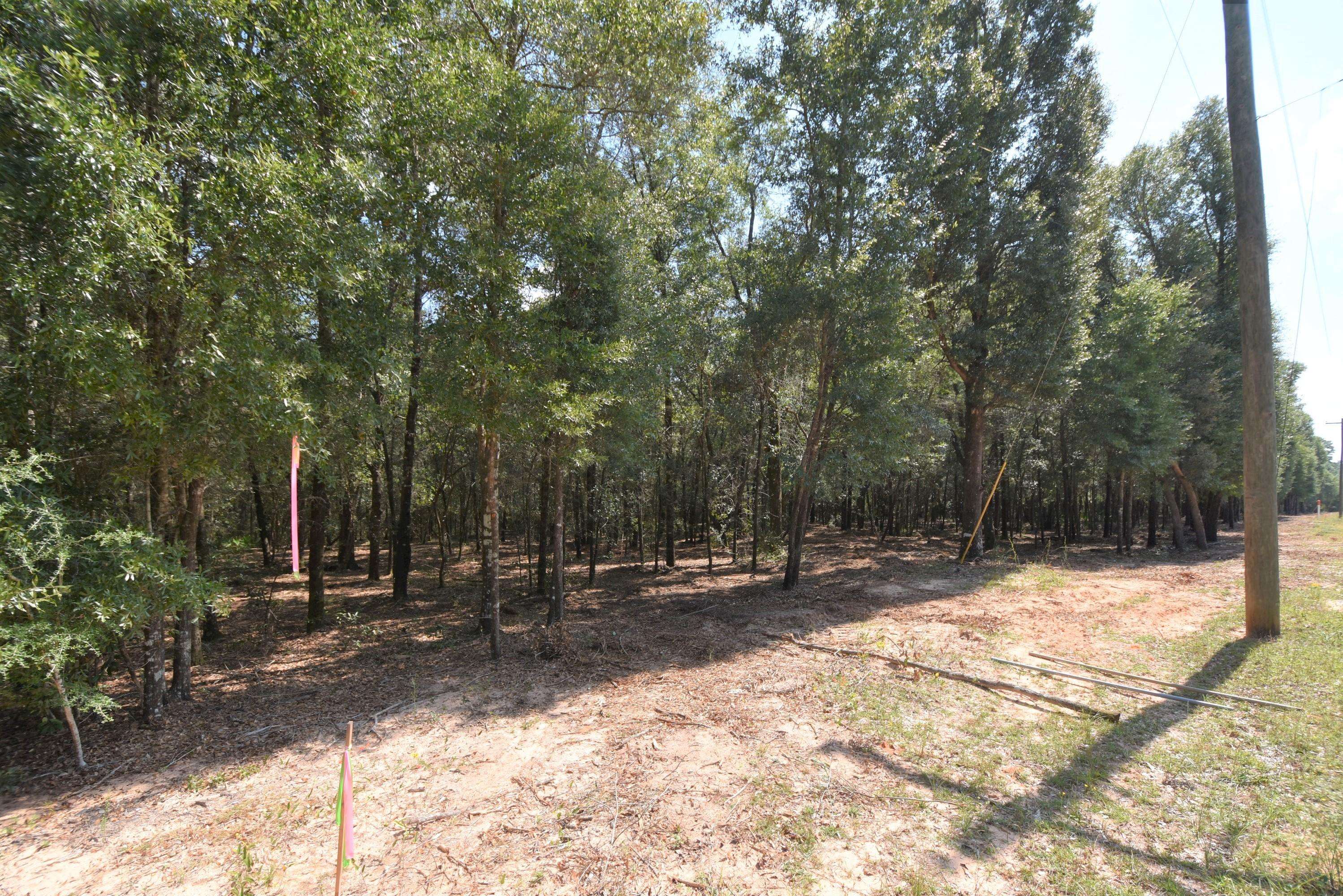 Holt, FL 32564,4 AC Wilkerson Bluff Road