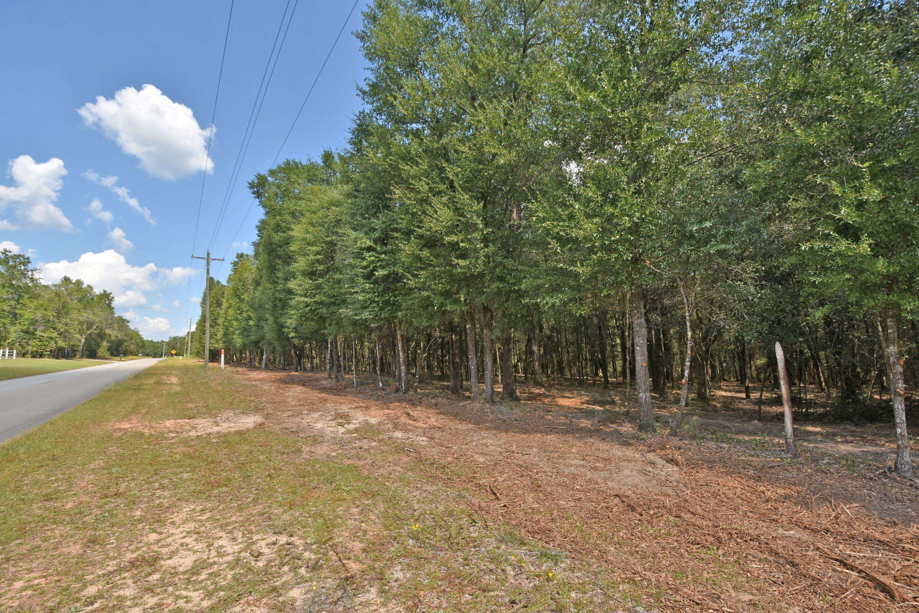 Holt, FL 32564,4 AC Wilkerson Bluff Road