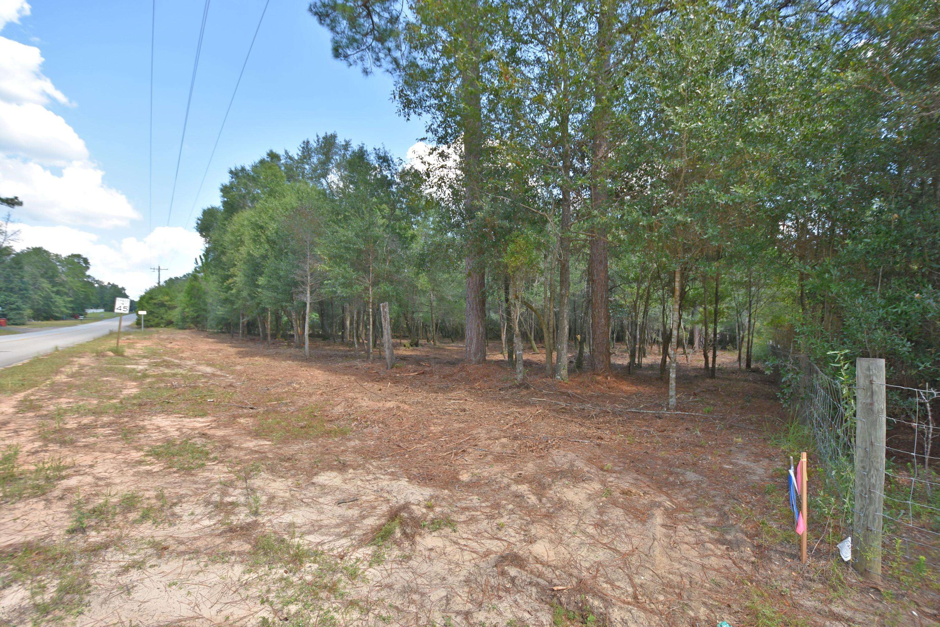 Holt, FL 32564,1.31 AC Wilkerson Bluff Road