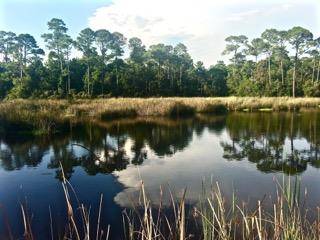 Inlet Beach, FL 32461,Lot 8 Pine Cone Trail