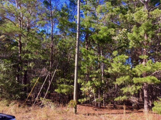 Defuniak Springs, FL 32433,.49ac. Walden Road