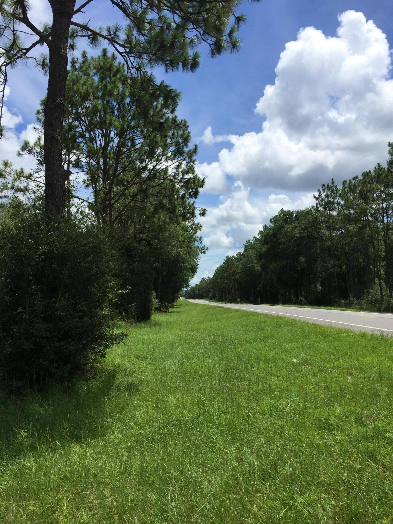 Baker, FL 32531,20 AC W Hwy 90