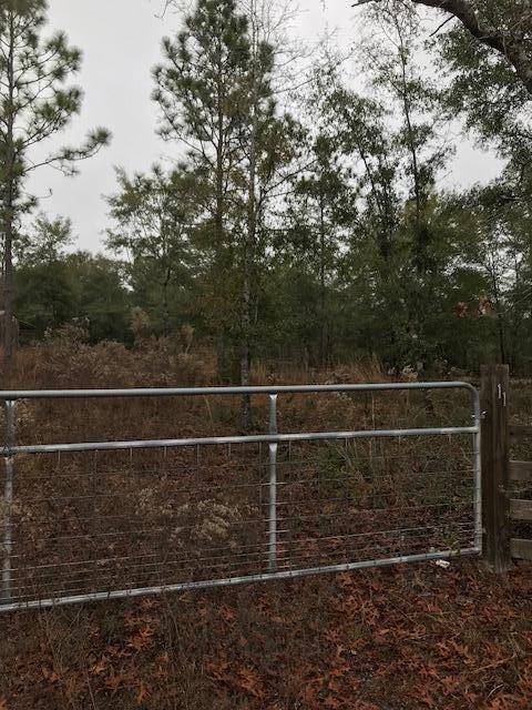 Defuniak Springs, FL 32433,111 Juniper Lake Drive