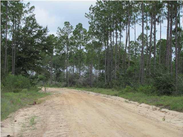 Paxton, FL 32538,12.5 Acres Chapel Road East