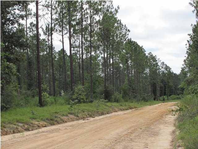 Paxton, FL 32538,12.5 Acres Chapel Road East