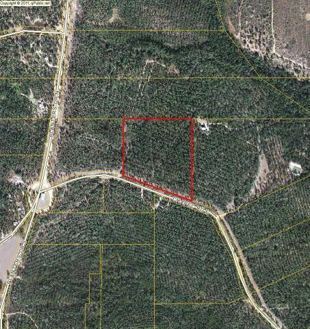 Paxton, FL 32538,12.5 Acres Chapel Road East