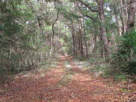 Niceville, FL 32578,1131 Deer Moss Creek Loop