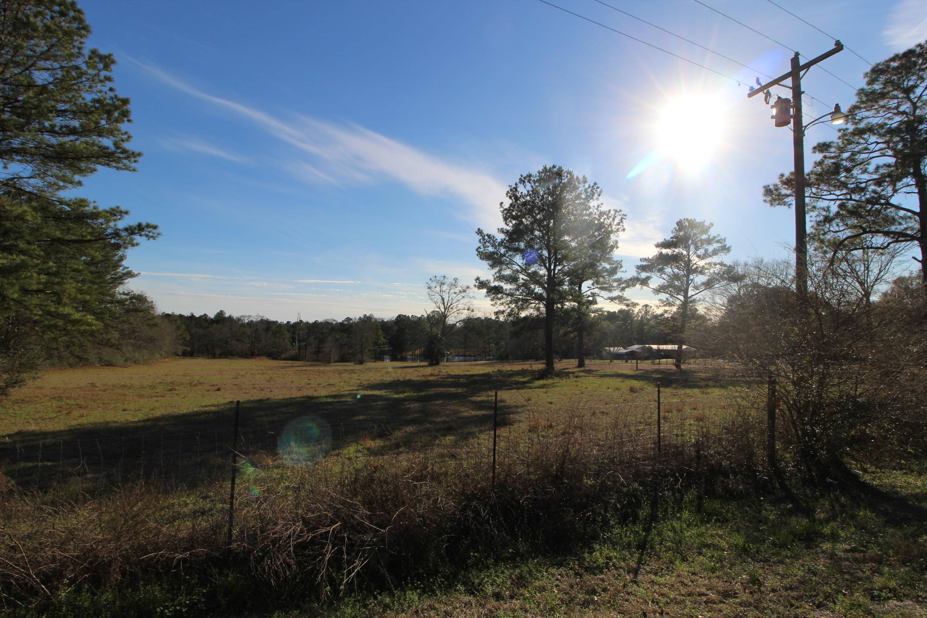 Laurel Hill, FL 32567,15.75 Acre N Highway 85