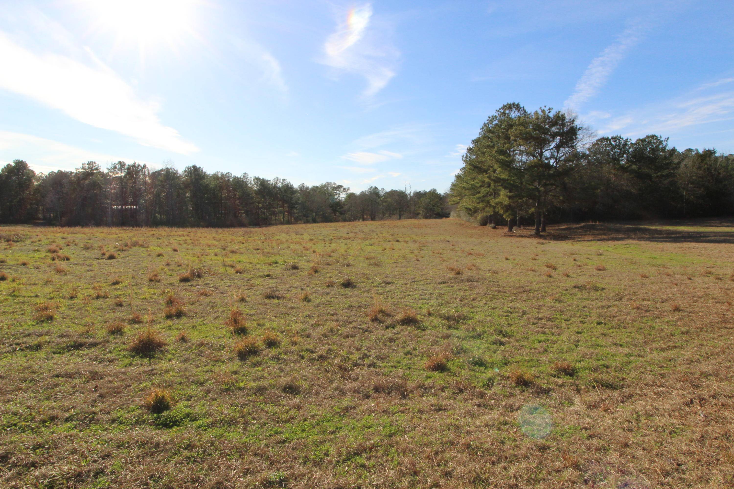 Laurel Hill, FL 32567,15.75 Acre N Highway 85