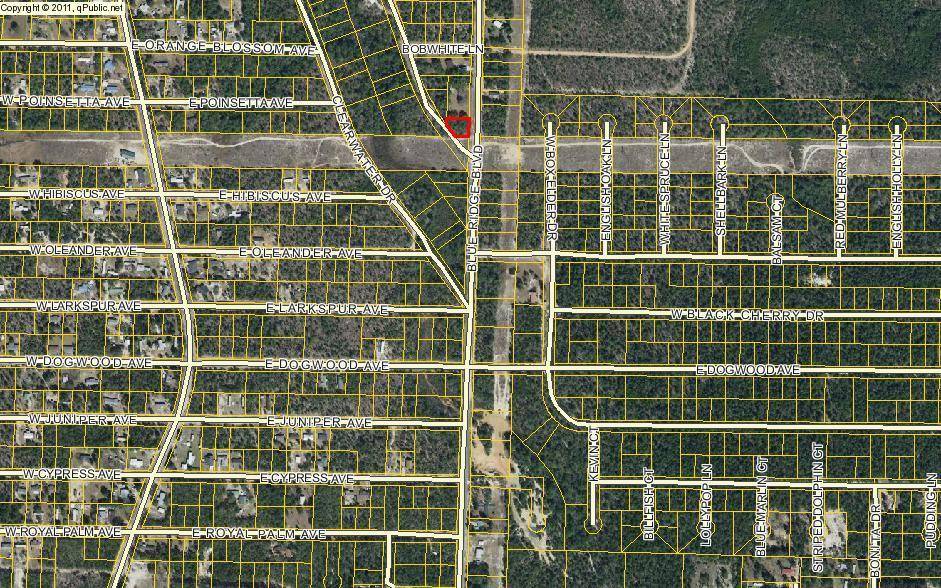 Defuniak Springs, FL 32433,.23ac Blue Ridge Boulevard