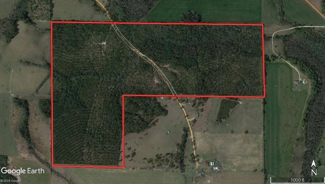 Paxton, FL 32538,65 ac. Stewart Rd.