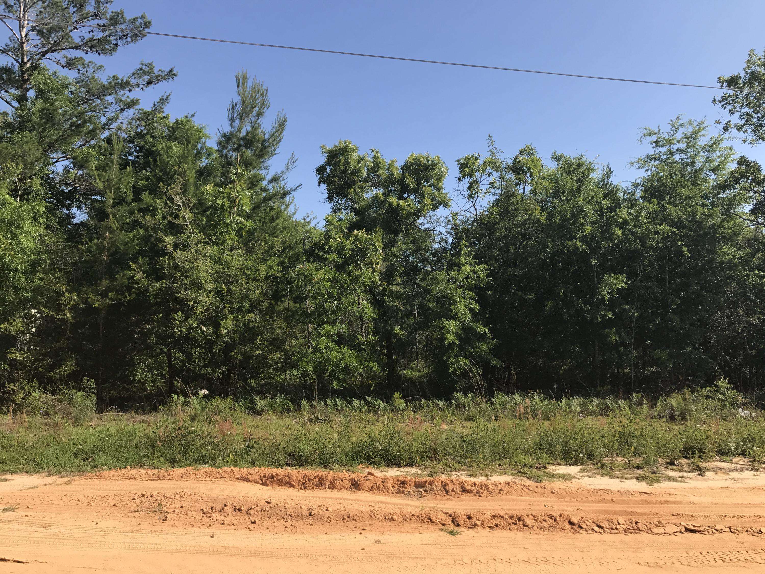 Defuniak Springs, FL 32433,Lot 23 E Marigold Avenue