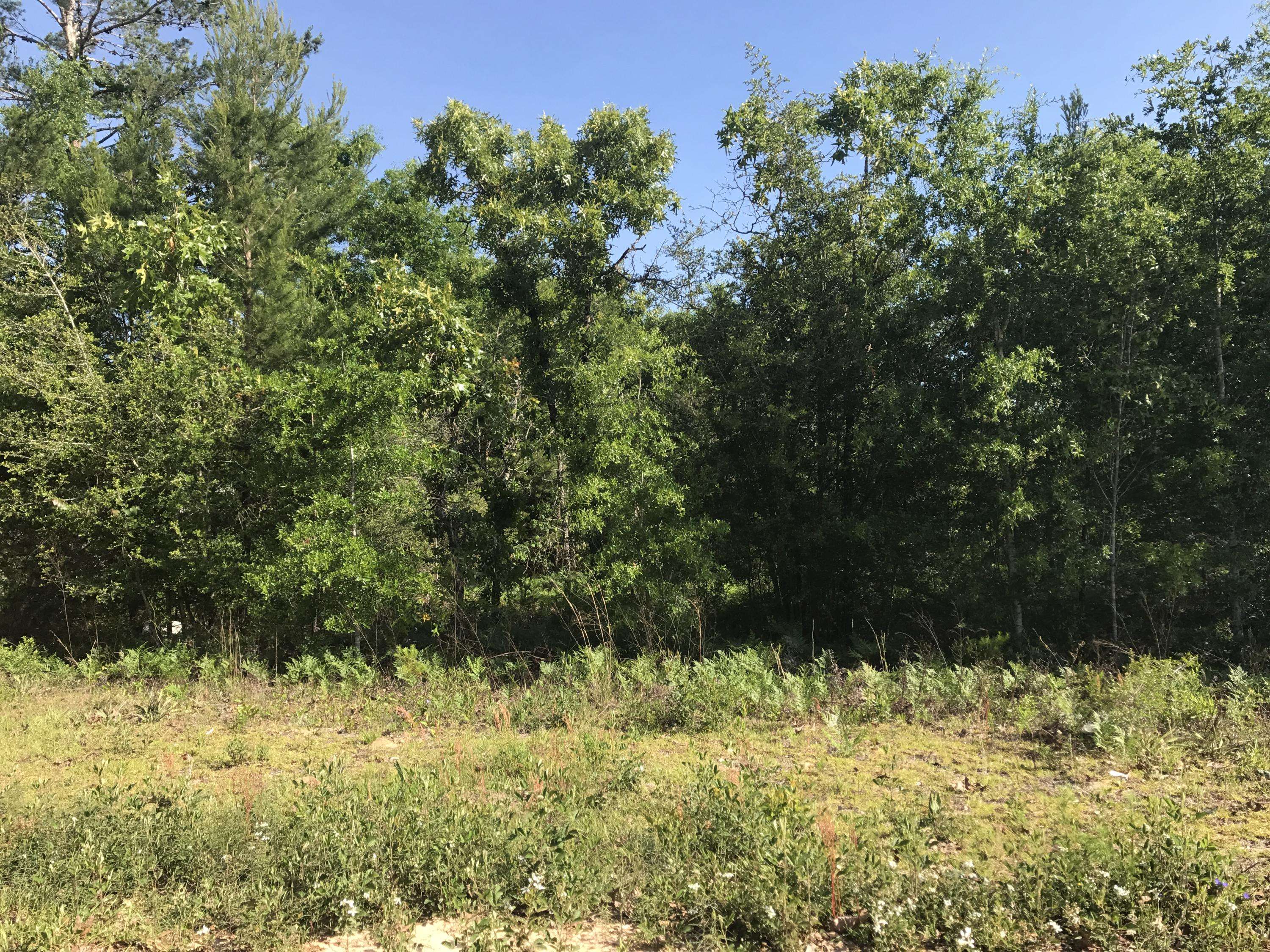 Defuniak Springs, FL 32433,Lot 23 E Marigold Avenue