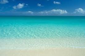 Panama City Beach, FL 32408,8618 Surf Drive  ## 113