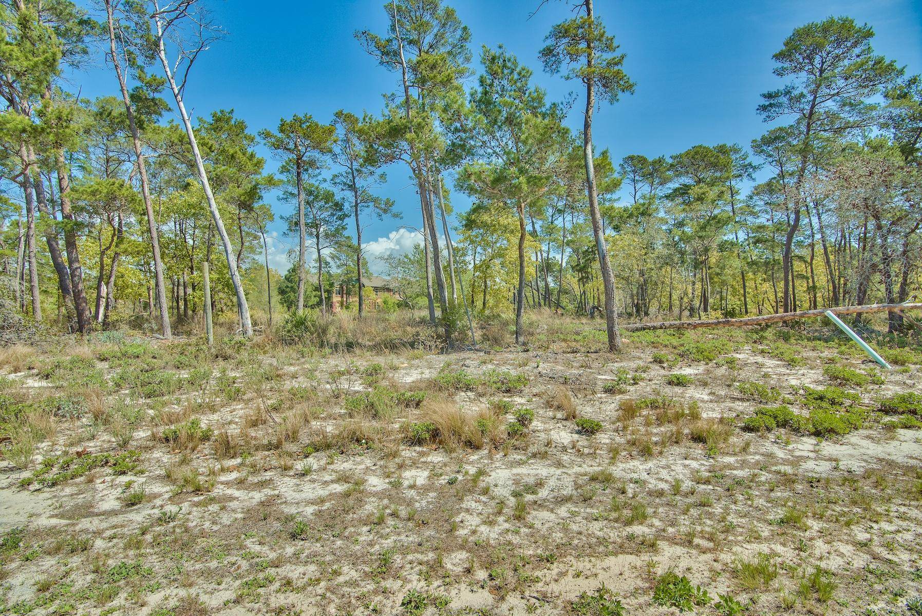 Panama City Beach, FL 32413,1520 Dune Lake Trail