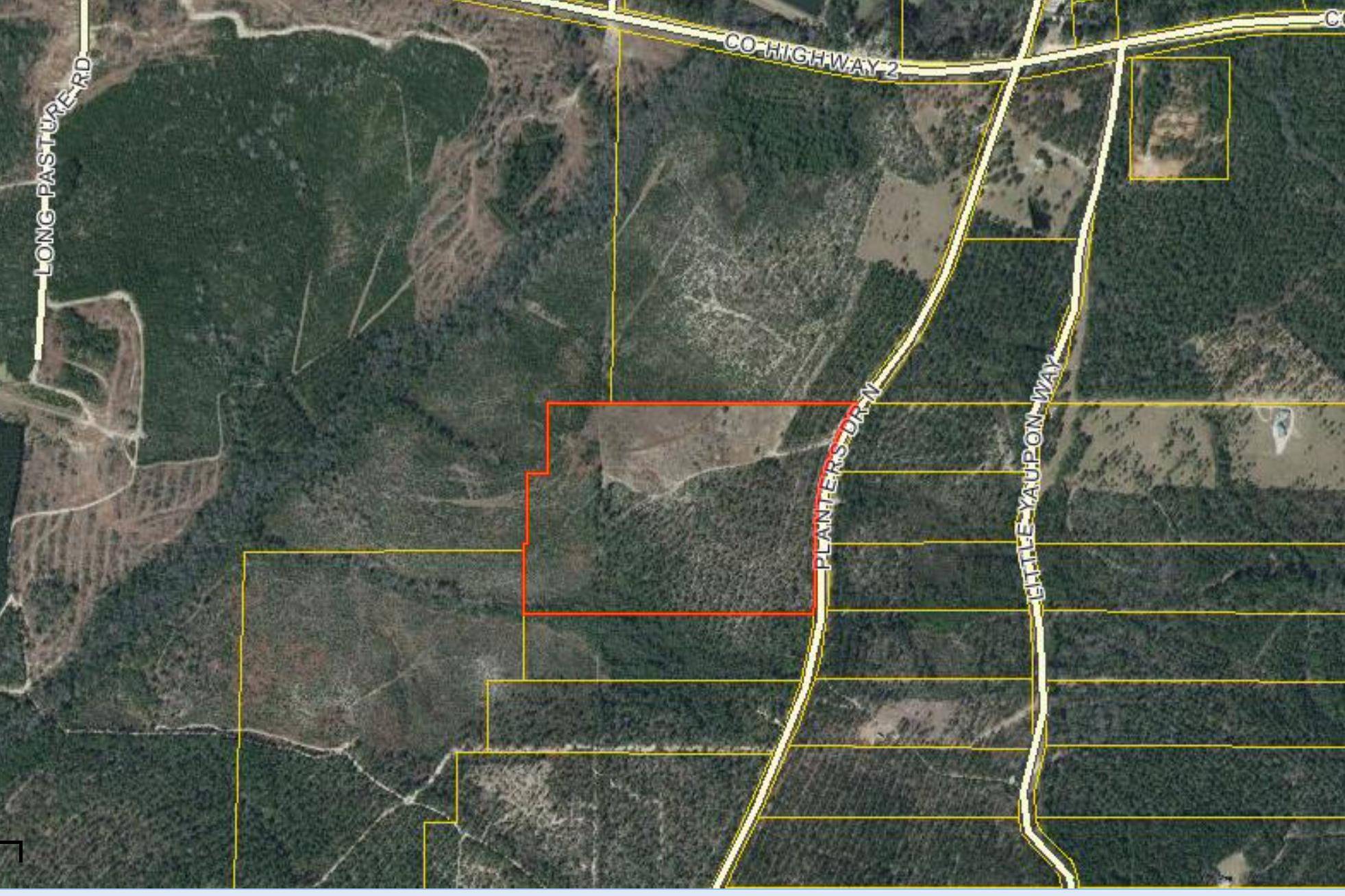 Laurel Hill, FL 32567,31.5 Acres Planters Dr N