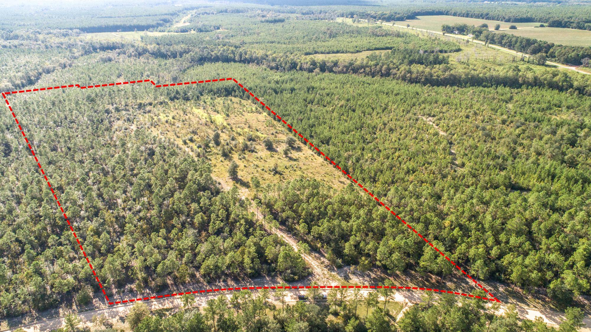 Laurel Hill, FL 32567,31.5 Acres Planters Dr N