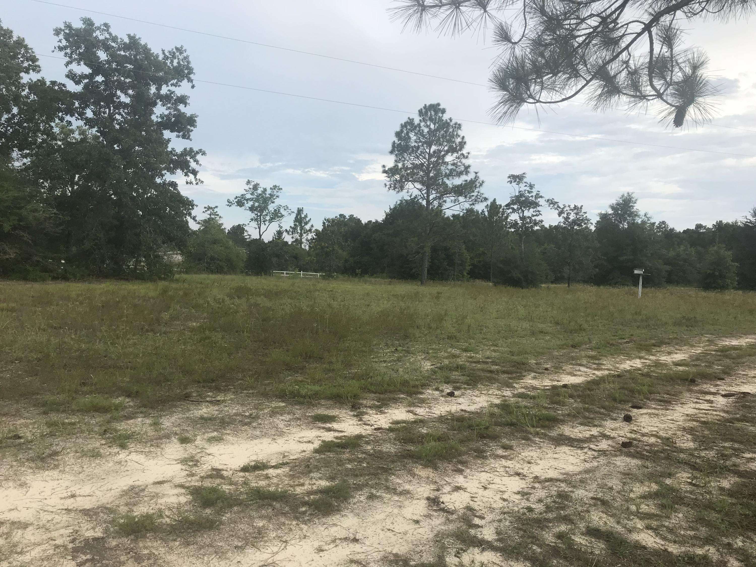 Holt, FL 32564,4697 Wilkerson Bluff Road