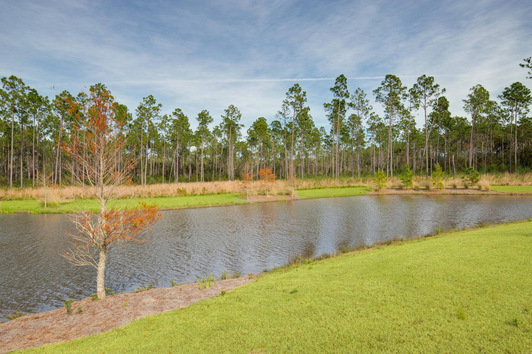 Inlet Beach, FL 32461,54 Seastone Court  #Lot 8