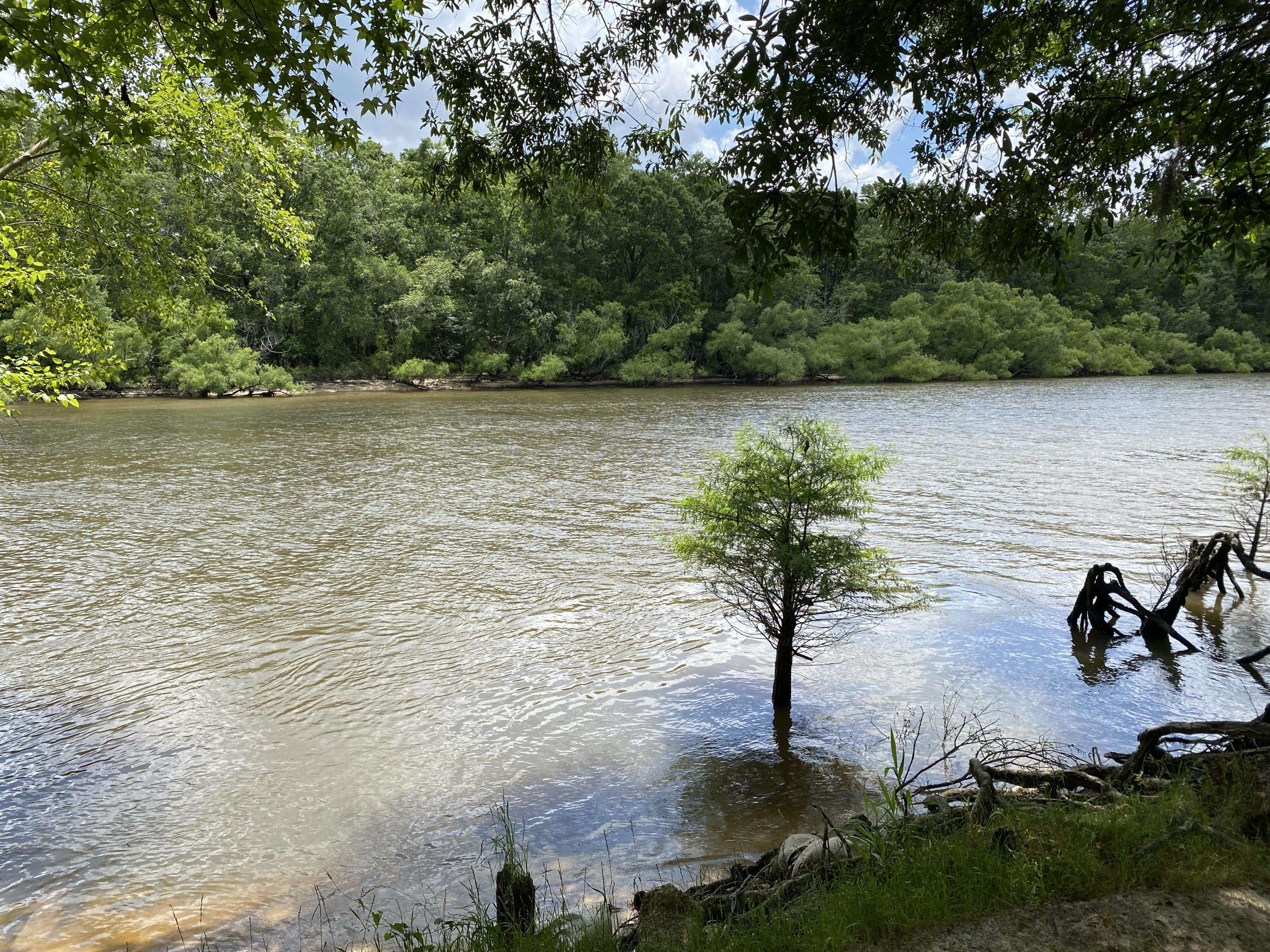 Ponce De Leon, FL 32455,70 River Loop Road