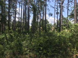 Chipley, FL 32428,TBD Fairway Drive