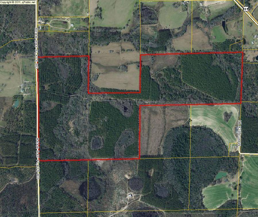 Paxton, FL 32538,250 AC. Bear Bay Flats Road