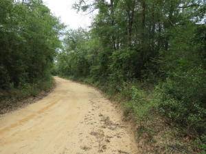 Holt, FL 32564,2.4 Ac XXX Broderick Road