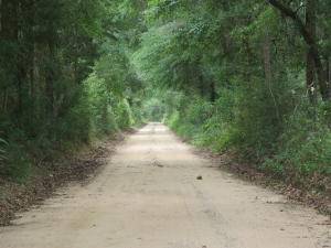 Holt, FL 32564,2.4 Ac XXX Broderick Road