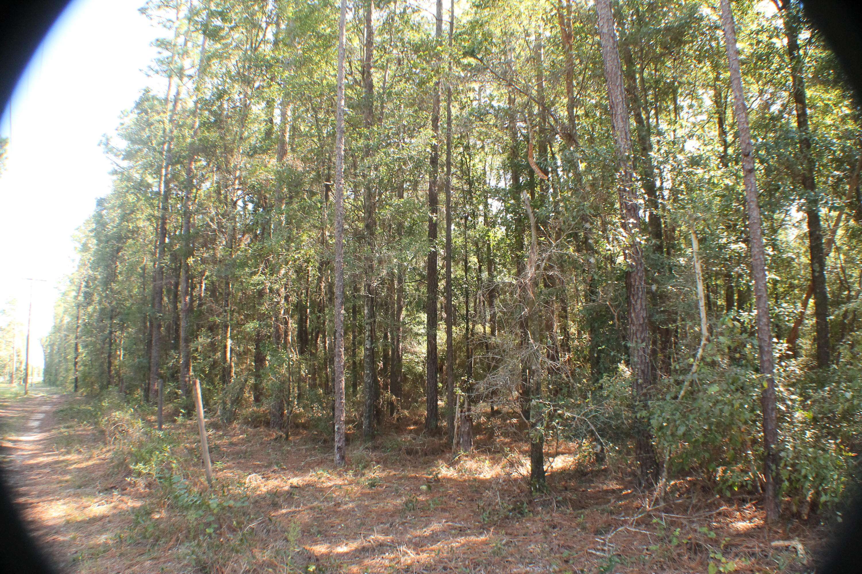 Holt, FL 32564,1.13 AC-B W Hwy 90