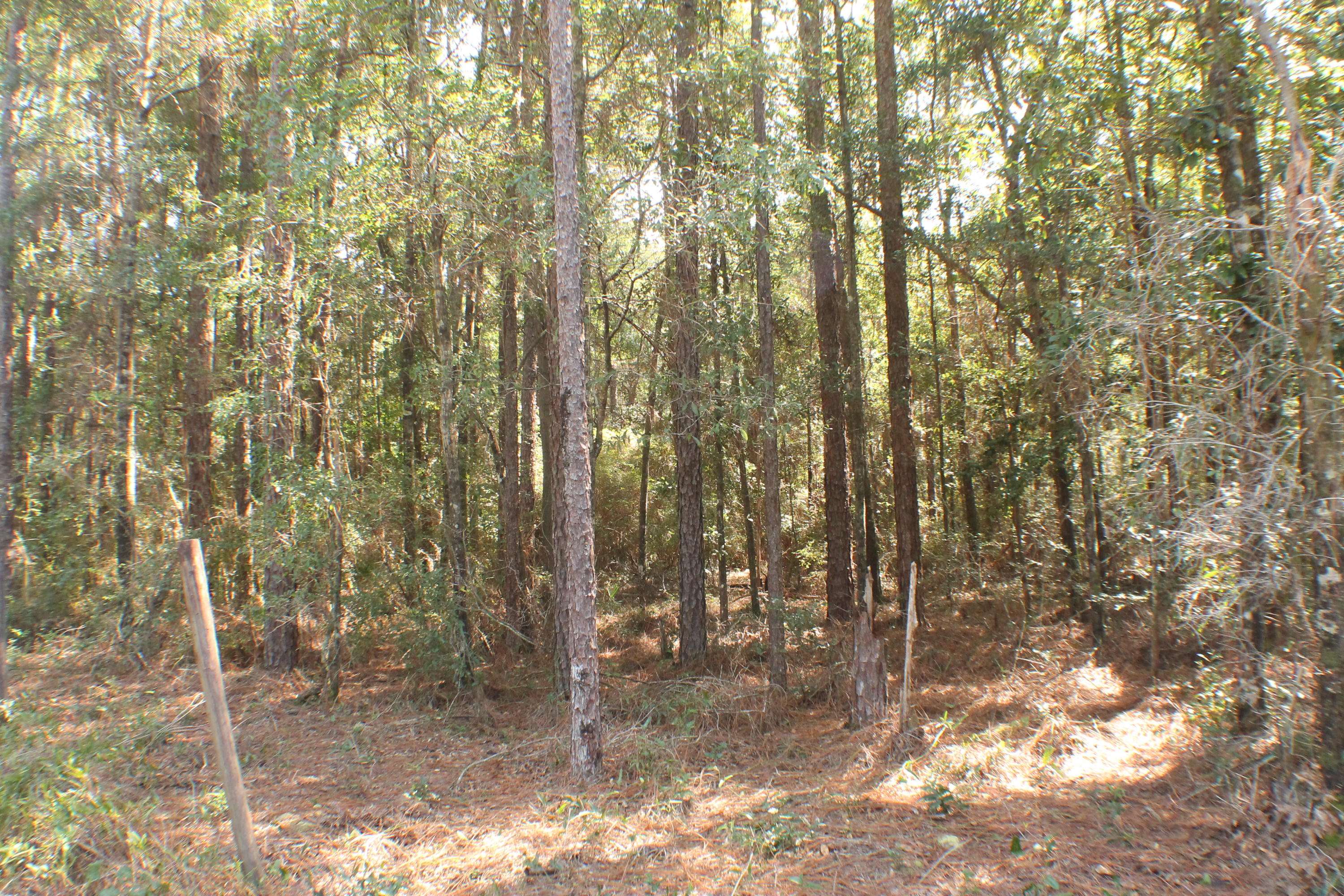 Holt, FL 32564,1.14 AC-A W Hwy 90