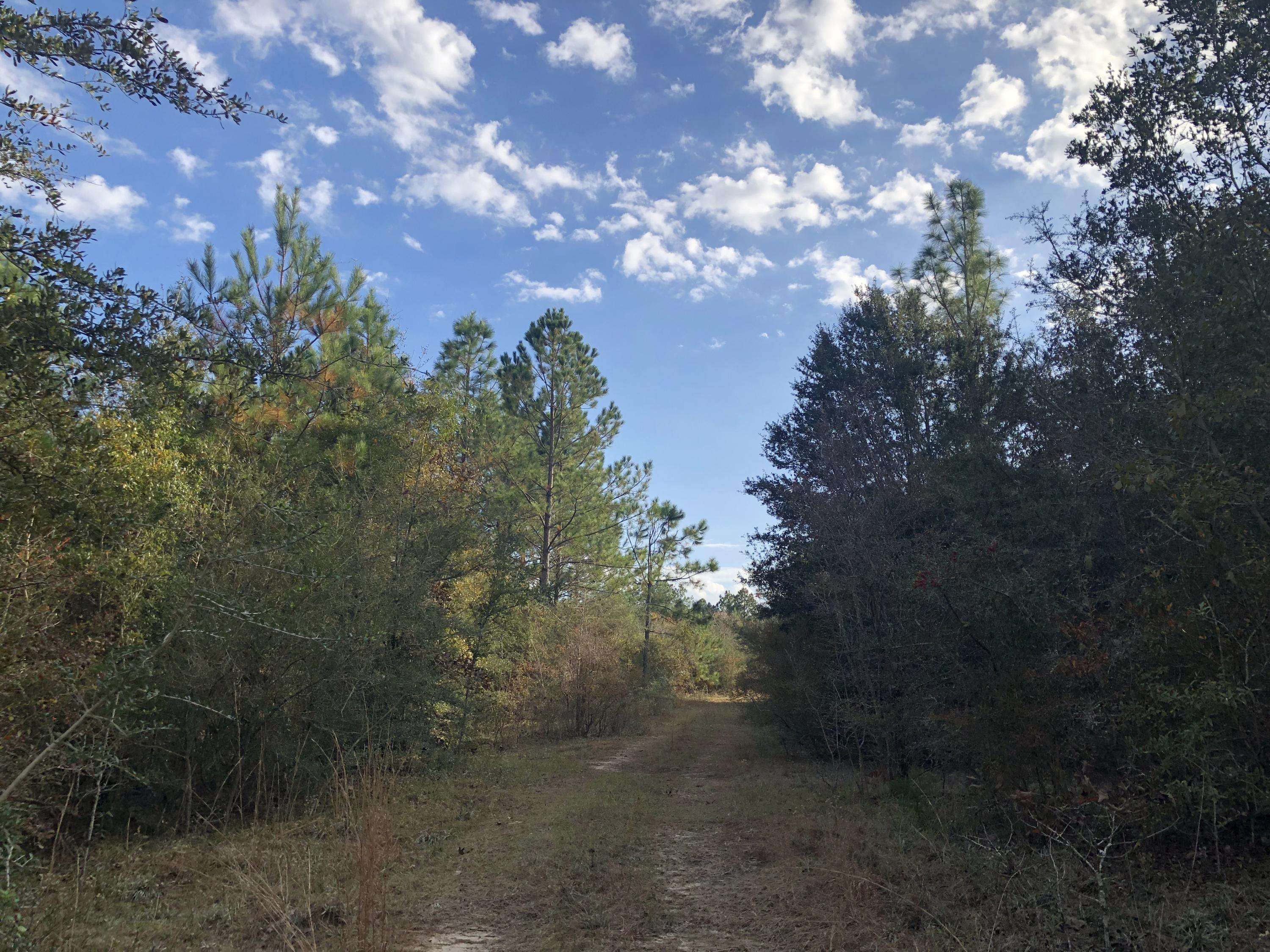 Laurel Hill, FL 32567,10 AC Carmillo Lane