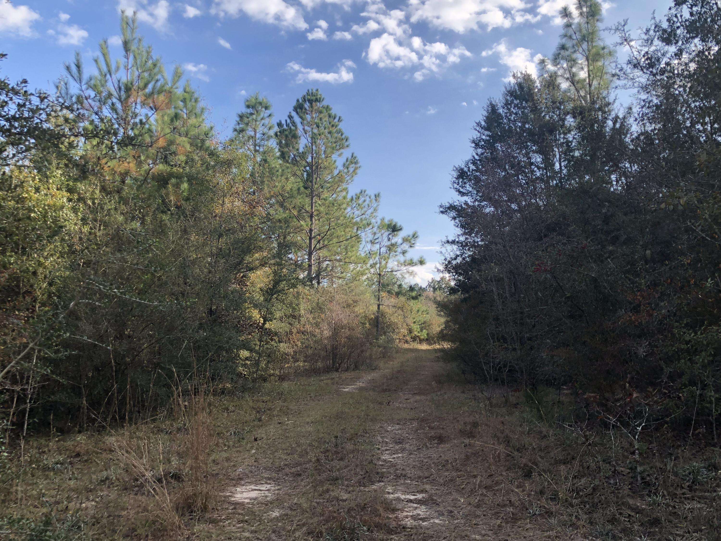 Laurel Hill, FL 32567,10 AC Carmillo Lane