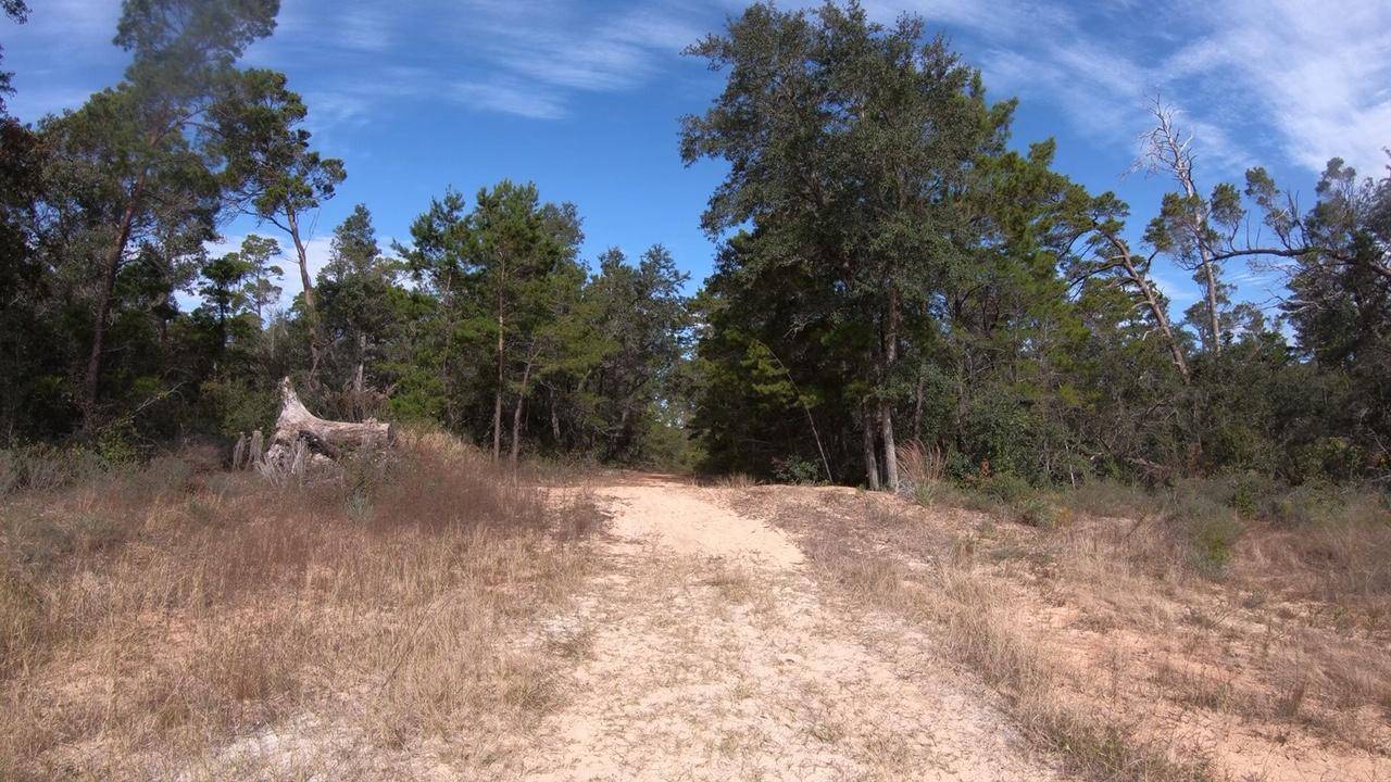 Gulf Breeze, FL 32563,Lot 8 Auburn Parkway