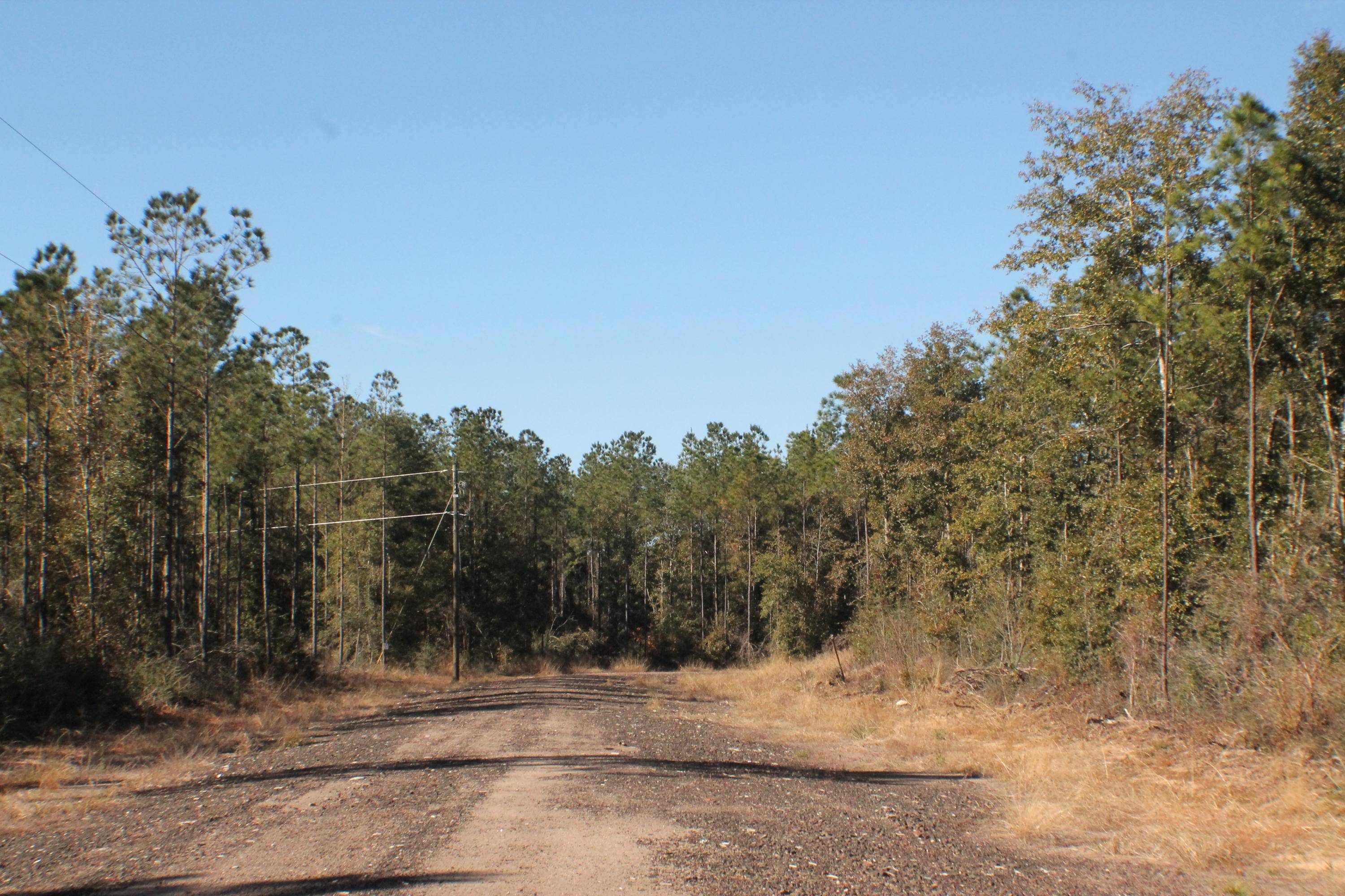 Milton, FL 32570,Lot 3 Forest Hills Drive